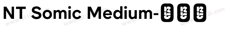 NT Somic Medium字体转换